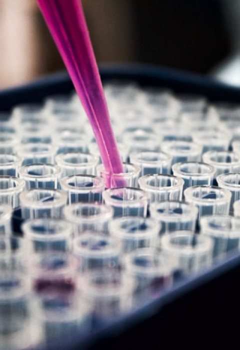 سلامتی و ورزش